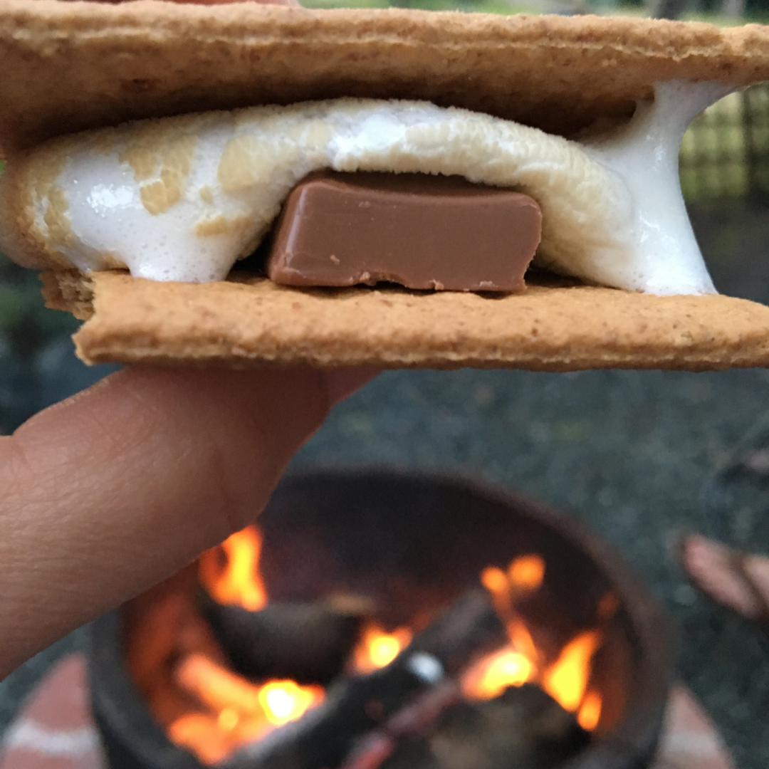 Hearts and Hands of Care | S’mores Social